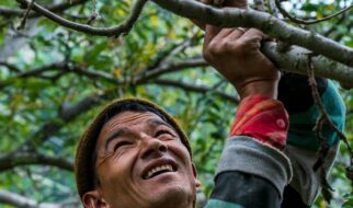 Enhancing Property Value with Strategic Landscaping Enhancing Property Value with Strategic Landscaping